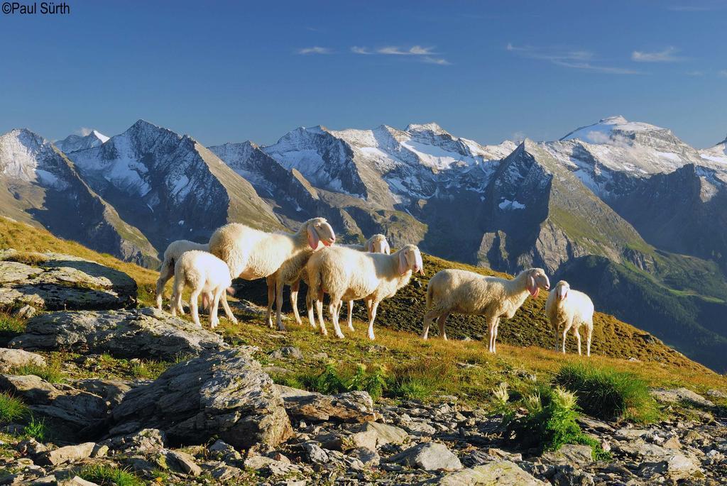 Appartamento Haus Alpenfriede Ramsau im Zillertal Camera foto