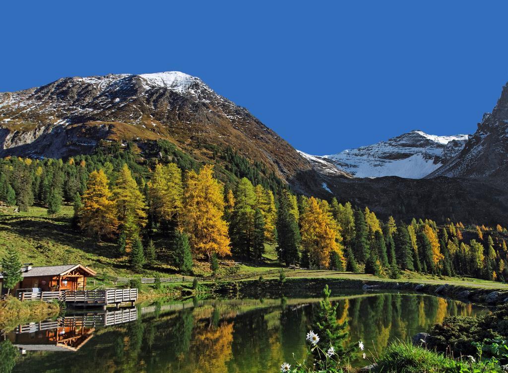 Appartamento Haus Alpenfriede Ramsau im Zillertal Esterno foto