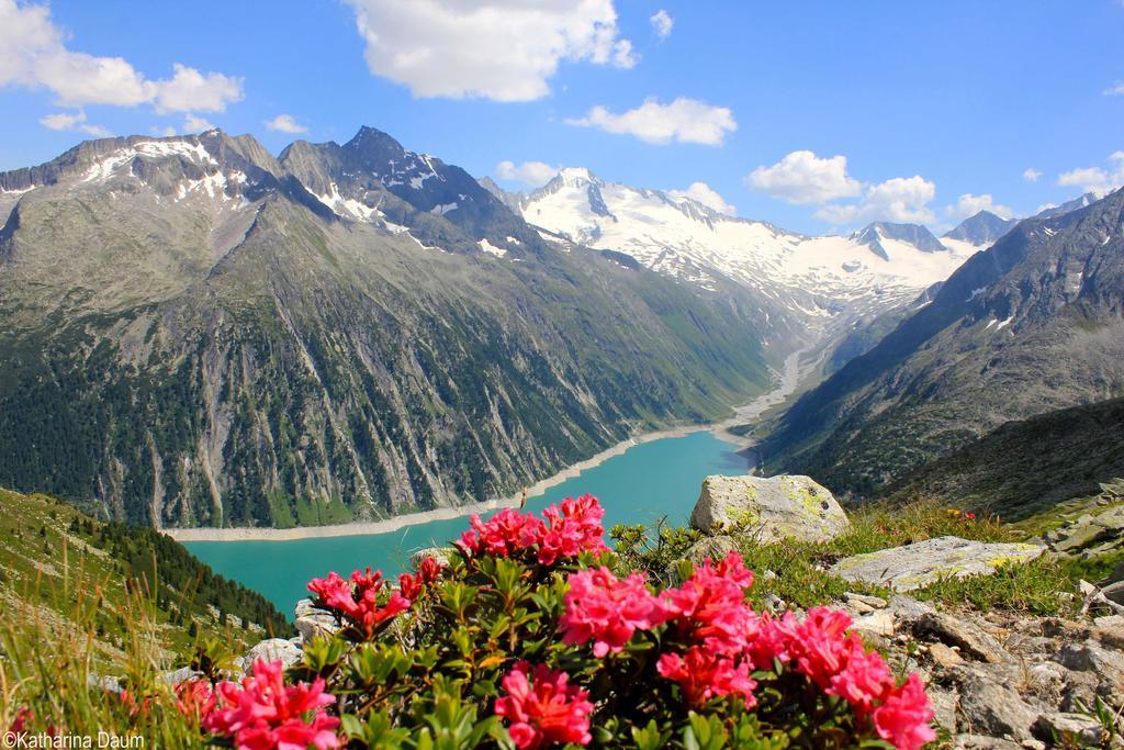 Appartamento Haus Alpenfriede Ramsau im Zillertal Esterno foto